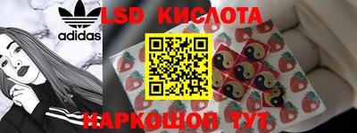 МДПВ Канаш