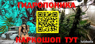 эйфоретик Камышлов