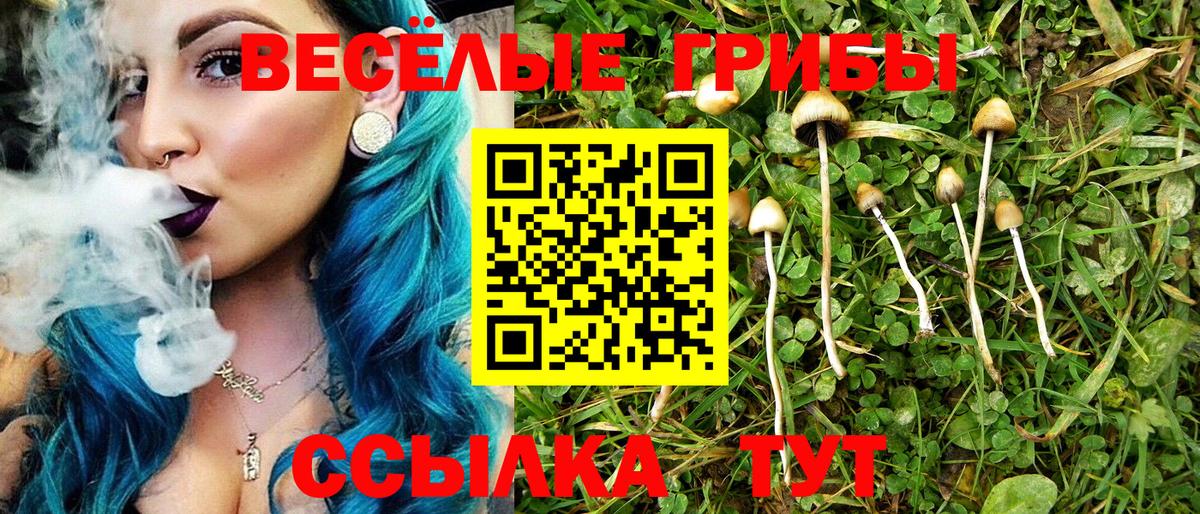 Лабинск  Псилоцибиновые грибы Magic Shrooms  Вход с VPN 