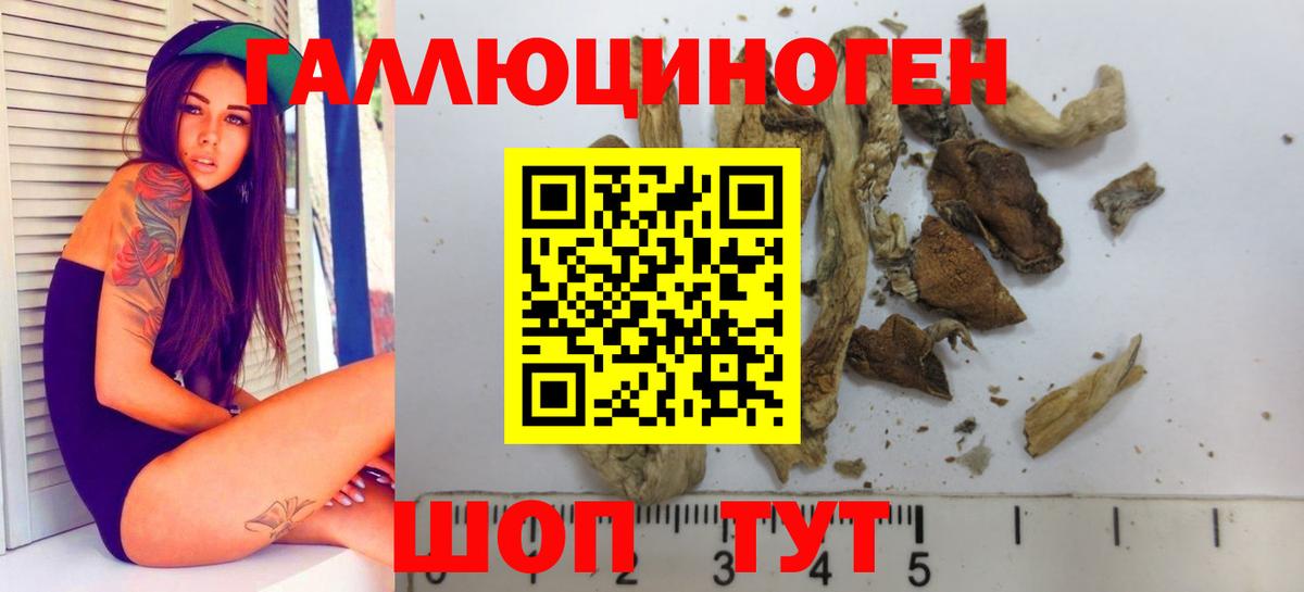 Галлюциногенные грибы GOLDEN TEACHER Лабинск